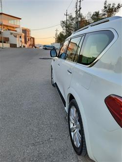 انفنتي QX80